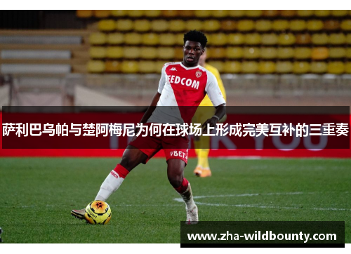 萨利巴乌帕与楚阿梅尼为何在球场上形成完美互补的三重奏