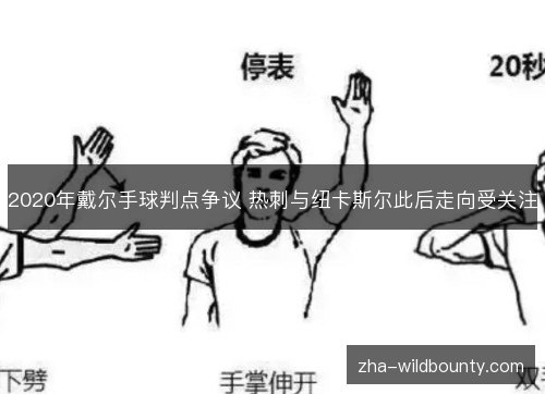 2020年戴尔手球判点争议 热刺与纽卡斯尔此后走向受关注